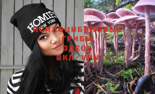 бутират Покровск